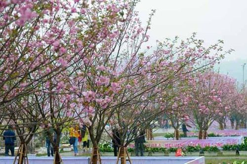 Hạ Long: Nhiều hoạt động hấp dẫn tại Lễ hội Hokkaido 2023