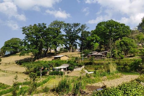 Làng cổ Thiên Hương – 'Người đàn bà đẹp' bên dòng sông Nho Quế