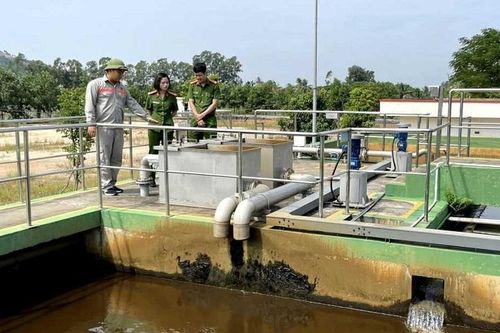 Quảng Ninh: Quyết tâm nâng hạng Chỉ số Xanh cấp tỉnh