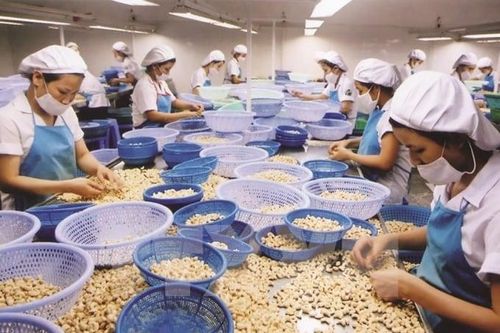 Tăng trưởng xuất khẩu: Doanh nghiệp loay hoay tiếp cận vốn, tìm thị trường mới