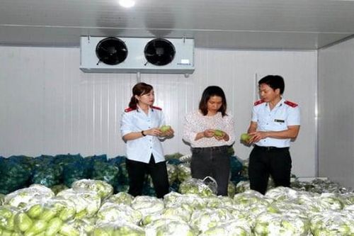 Kiểm soát chất lượng nông sản, thực phẩm: Hà Nội ổn định cán bộ các cấp