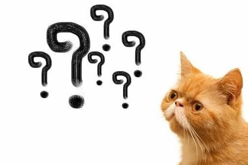 Có phải nộp thuế GTGT và thuế TNDN đối với nguồn thu từ nguồn đặt hàng sử dụng kinh phí NSNN không?