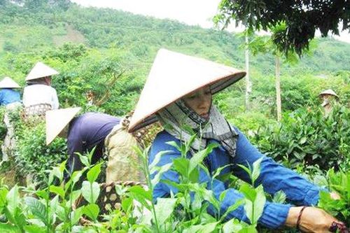'Mở khóa' giảm nghèo cho người dân vùng cao với những cách làm mới