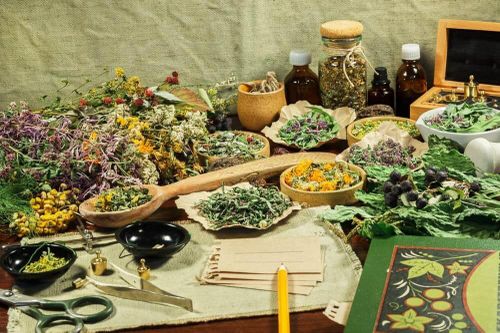 300 gian hàng tham gia hội chợ dược liệu, y dược cổ truyền toàn quốc