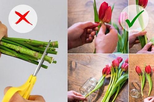 Giữ hoa tươi lâu hơn nhờ những mẹo siêu đơn giản mà hiệu quả