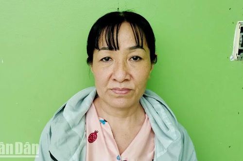 Bị khởi tố vì làm giả con dấu, tài liệu để vay hàng tỷ đồng của 3 ngân hàng