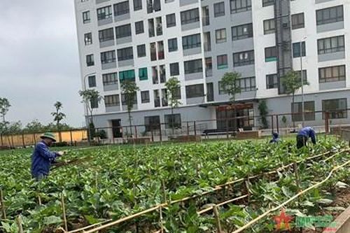 Nhiều mô hình tăng gia sản xuất hiệu quả ở Tổng cục Kỹ thuật
