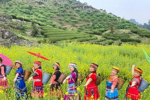 Tour tết giá ổn định, nhiều ưu đãi