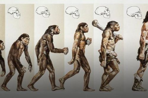 Bất ngờ danh tính 'người mẹ' đầu tiên của tất cả loài người