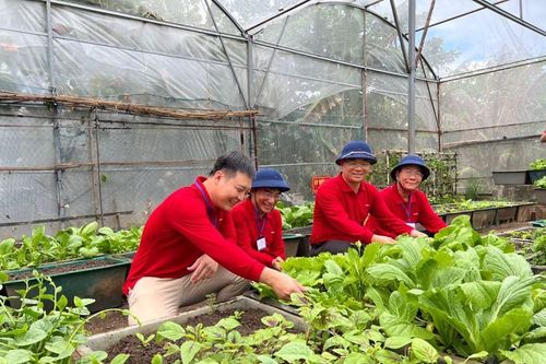Phân bón Cà Mau: Trách nhiệm xã hội là sợi chỉ đỏ xuyên suốt