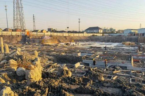 Đang đào đất đụng trúng 'báu vật': Tưởng vớ bẫm ai ngờ nhận kết đắng!