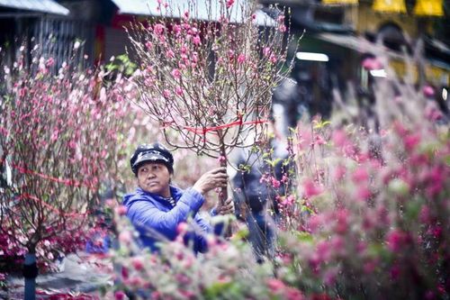 Mời viết bài cho Báo Biên phòng số đặc biệt Tết Giáp Thìn 2024
