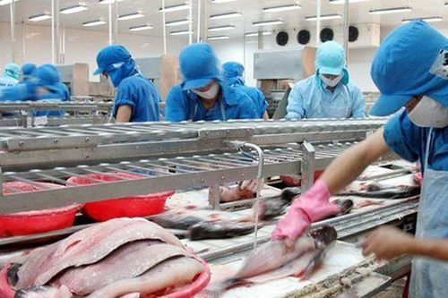 Vĩnh Hoàn (VHC) lợi nhuận giảm 51%, doanh thu xuất khẩu tháng 10 ảm đạm