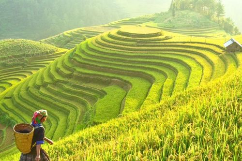 5 giải pháp phát triển du lịch nhanh, bền vững
