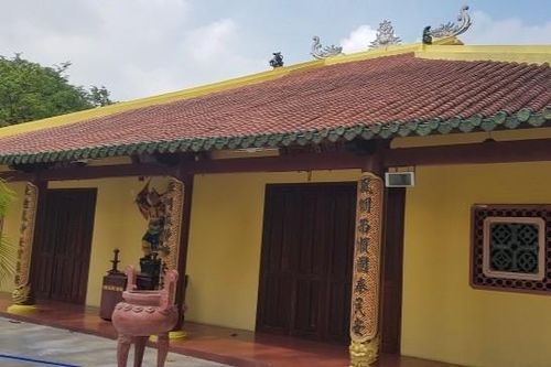 Phụng Sơn – Ngôi chùa sở hữu loài cây quý hiếm bậc nhất