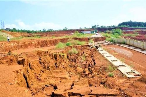 Hai doanh nghiệp bị cấm thầu 3 năm