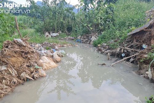 Doanh nghiệp chế biến đá ở Quỳ Hợp bị phạt vì vi phạm môi trường