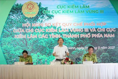 Kiểm lâm 21 tỉnh, thành phía Nam bàn giải pháp phối hợp bảo vệ rừng
