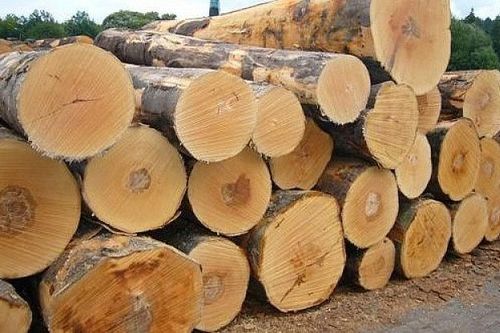 Tạm ngừng kinh doanh tạm nhập tái xuất với gỗ tròn, gổ xẻ từ Lào, Campuchia