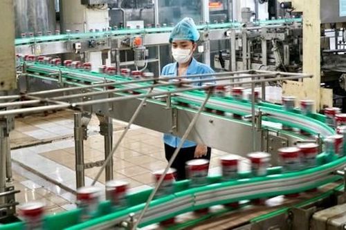 93% DN chưa từng biết tới Thỏa thuận Xanh EU