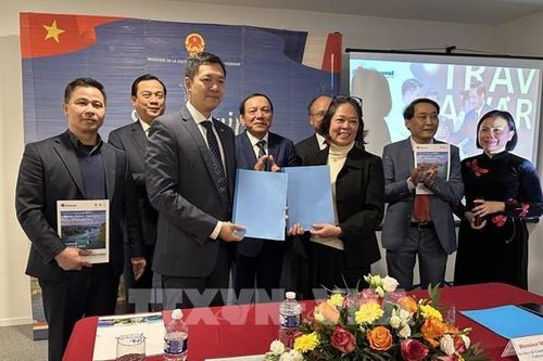 Nhiều hãng lữ hành muốn thúc đẩy lượng khách Pháp đến với Việt Nam