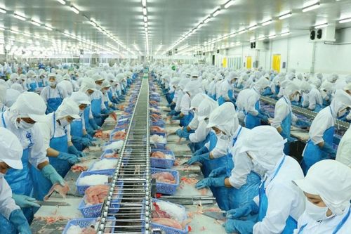Doanh thu giảm, Vĩnh Hoàn chỉ lãi hơn 200 tỷ đồng trong quý 3