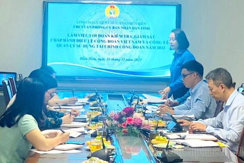 Công đoàn Viên chức tỉnh kiểm tra, giám sát 6 công đoàn cơ sở
