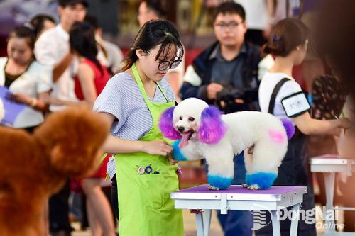 Sắp diễn ra ngày hội thú cưng dành cho giới trẻ