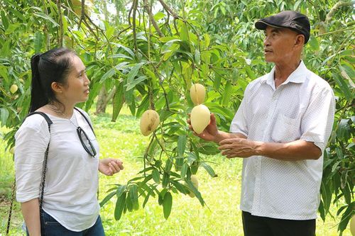 Nông dân đặt nhiều kỳ vọng vào Ngày hội 'Hội quán Đất Sen hồng'