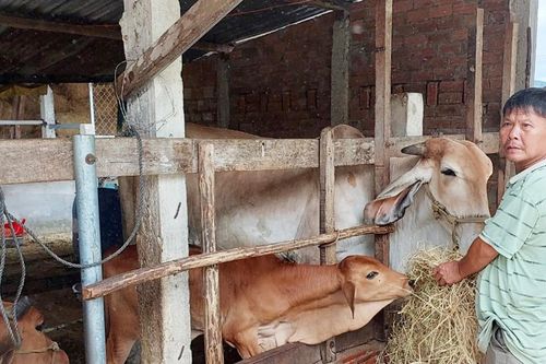 Phường Ngô Mây đẩy mạnh truyền thông về giảm nghèo bền vững