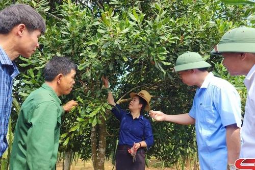 Nông dân Thuận Châu thi đua sản xuất, kinh doanh giỏi