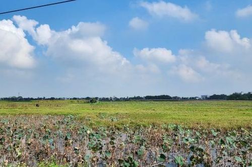 Dự án 2.500 tỷ đồng của Nguyễn Hoàng Group tại Thanh Hóa bị chậm tiến độ