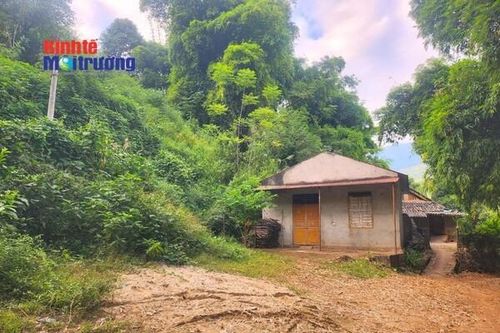 Chuyên gia: Khai thác đất hiếm sẽ phát sinh nguyên tố phóng xạ, ảnh hưởng môi trường