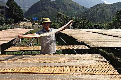 Nông dân Lai Châu tăng thu nhập nhờ tham gia mô hình HTX