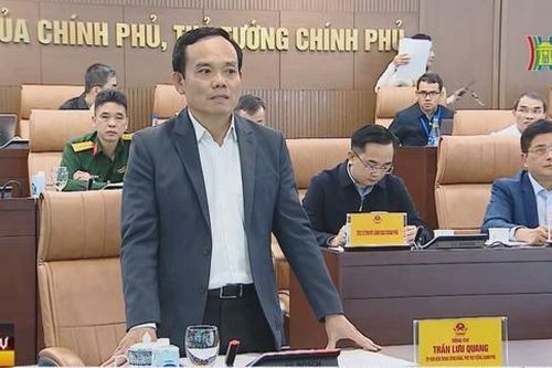 Theo dõi chặt chẽ diễn biến mưa lũ