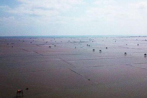 Thái Bình: 3 người mất tích khi đi bắt ngao, đã tìm thấy thi thể 1 nạn nhân