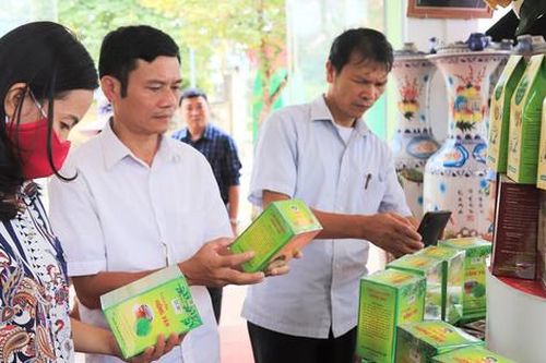 Nâng tầm trà chùm ngây Hồng Vân