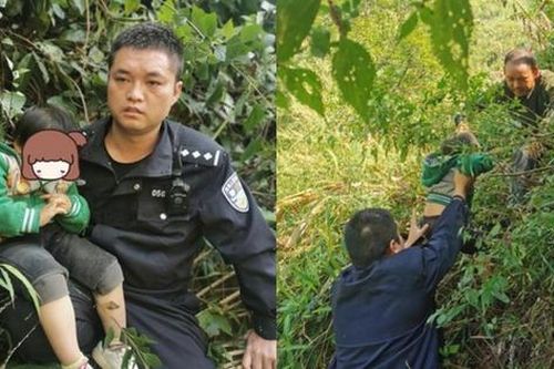 Giải cứu bé gái 3 tuổi bị khỉ bắt cóc: Cảnh sát tìm thấy đứa trẻ nhờ tiếng gọi của người mẹ