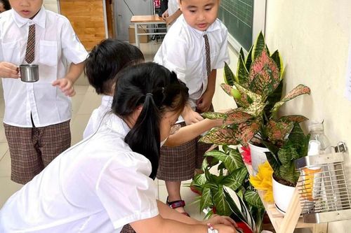 Những hành động thiết thực bảo vệ môi trường ở một trường tiểu học