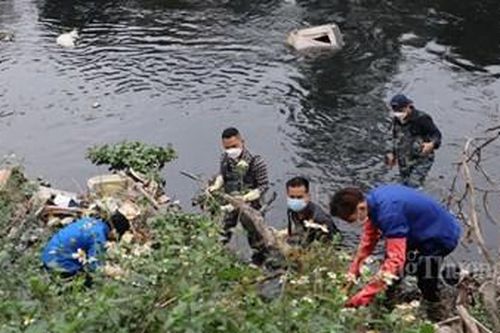 Lăng kính văn hóa: Sống xanh