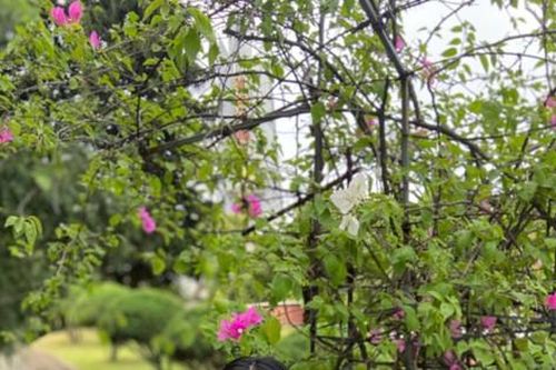 Nữ sinh trường Y có lối sống tích cực và cống hiến vì cộng đồng