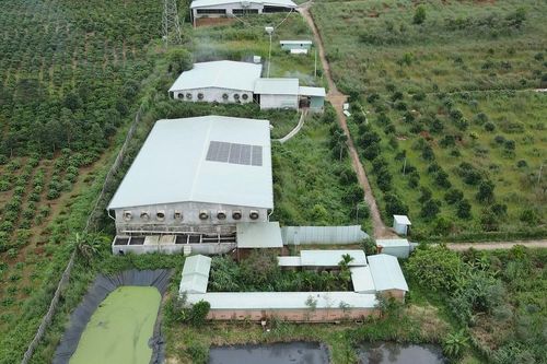 Cơ sở chăn nuôi, chế biến gây ô nhiễm