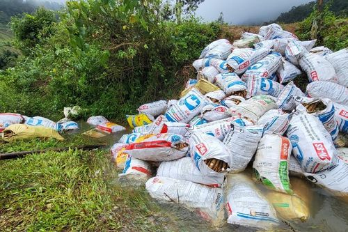 Kon Tum: Hàng trăm tấn mì có nguy cơ thối rữa vì tắc đường