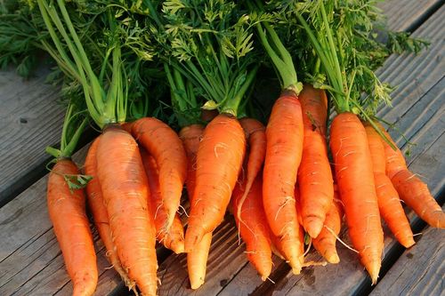 Thu hồi chất chống oxy hóa từ phụ phẩm nông nghiệp