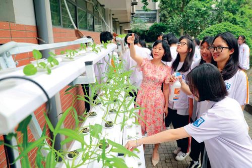 Tự hào nghề giáo: Xây dựng hình tượng người thầy đạo đức, trí tuệ