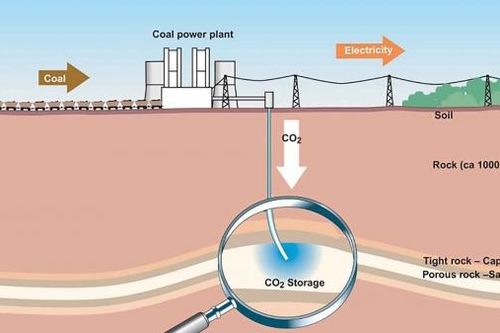 Giải pháp cho biến đổi khí hậu: 'Bắt' carbon phục vụ hành tinh xanh