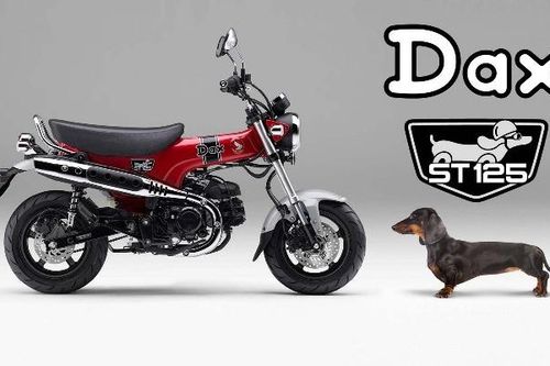 Honda DAX 2024 được công bố với giá khoảng 115 triệu đồng