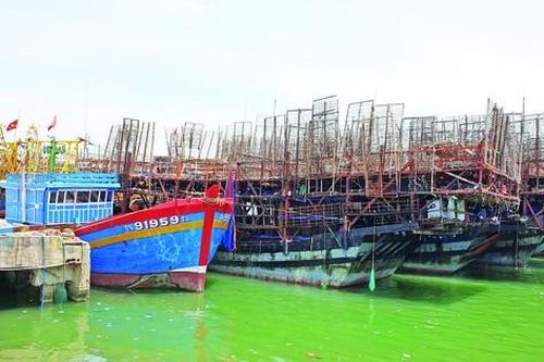 Những con tàu nằm lại đáy biển khơi