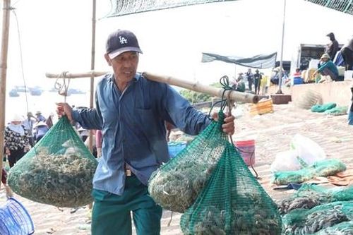Tấp nập mua bán ở chợ cá Nam Định lúc sáng sớm