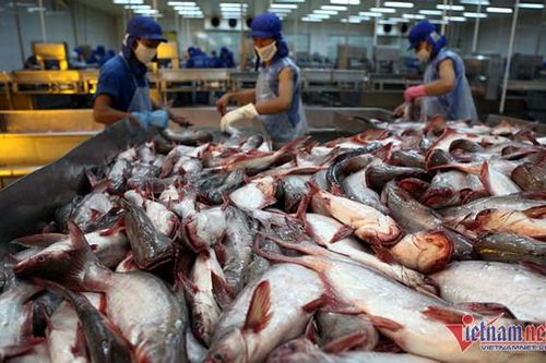 Cơ hội lớn, các đại gia thủy sản vẫn lao dốc